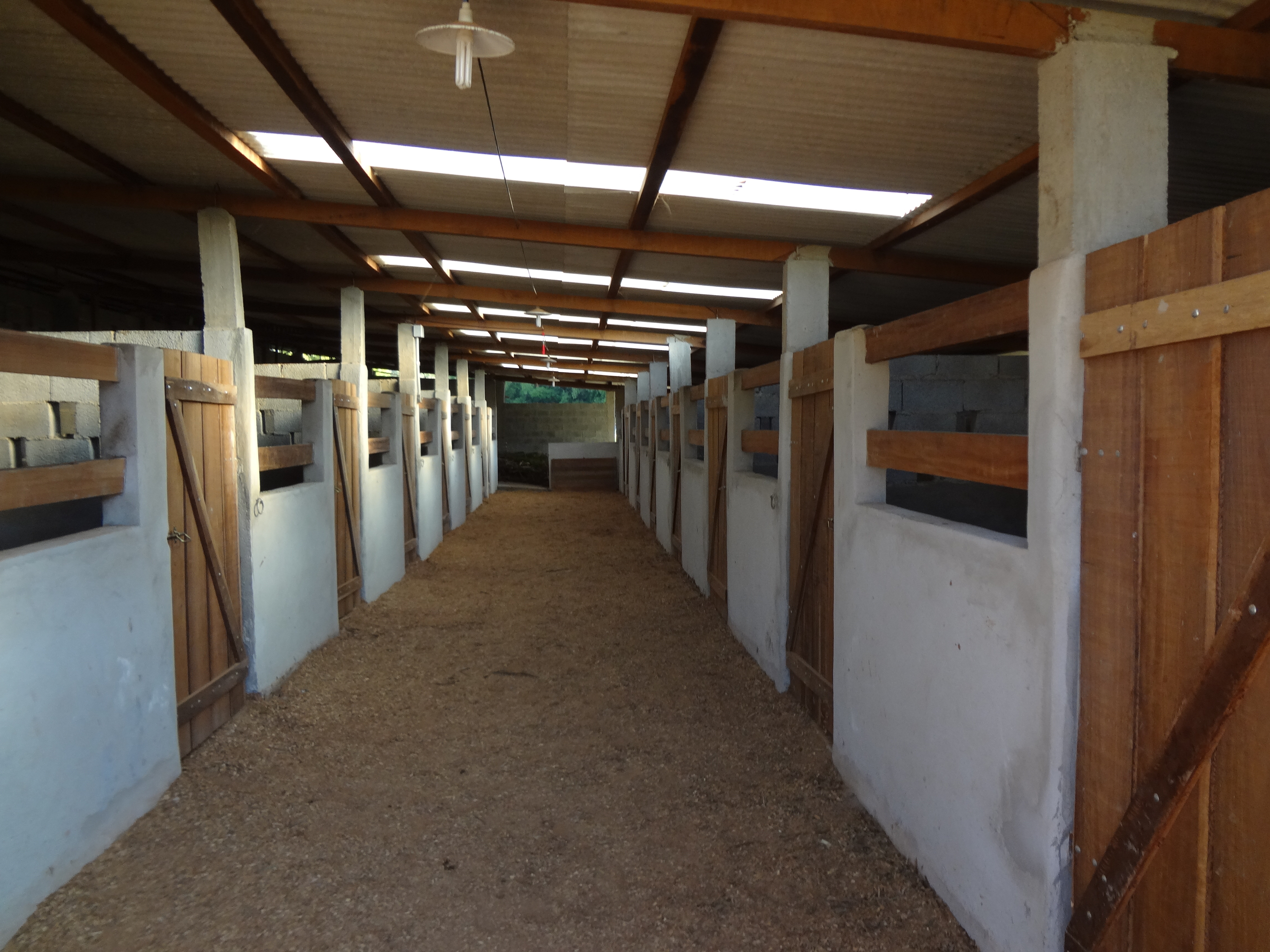 Baia ampla da Fazenda Iguassu