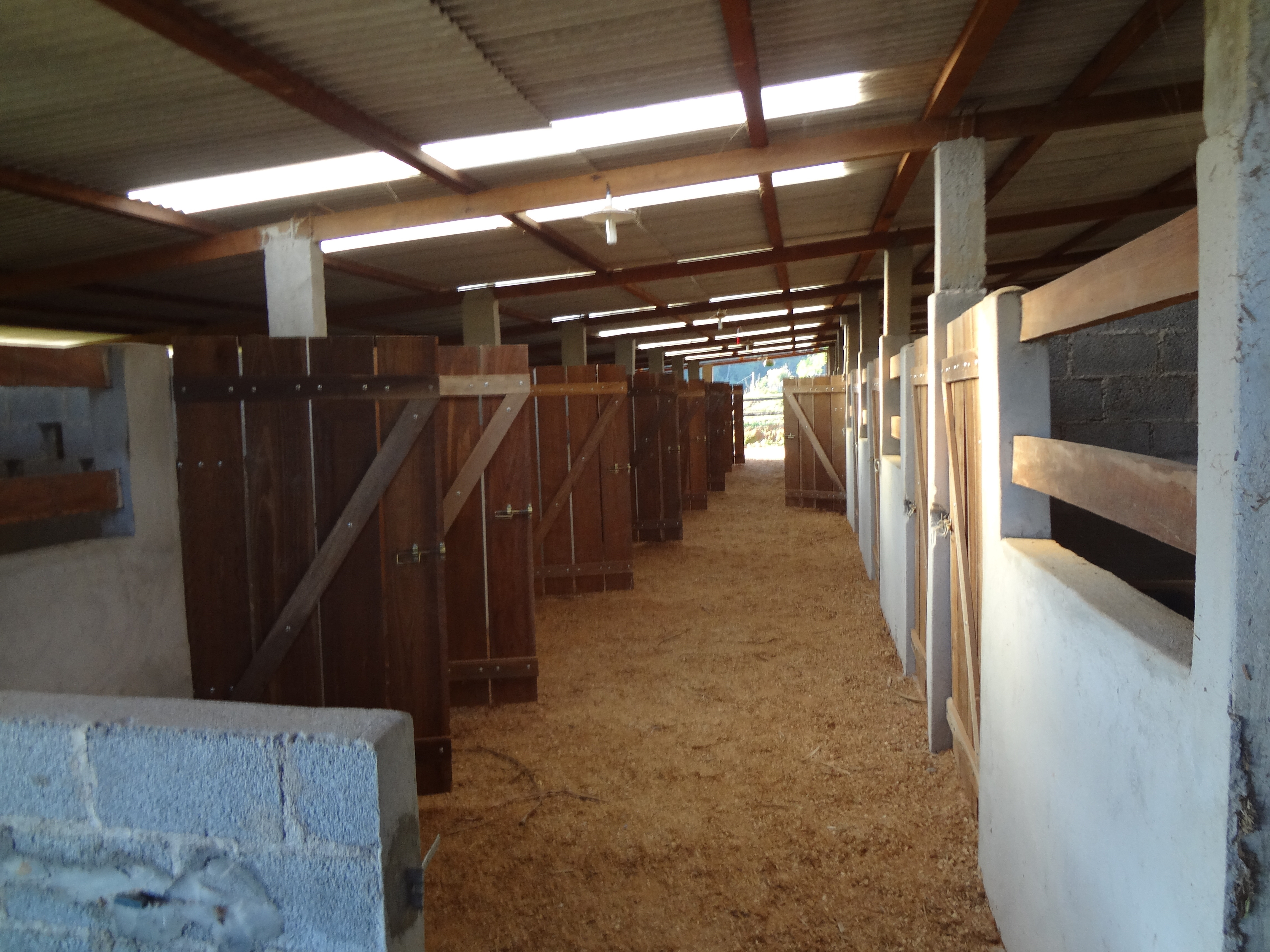 Pastagens da Fazenda Iguassu